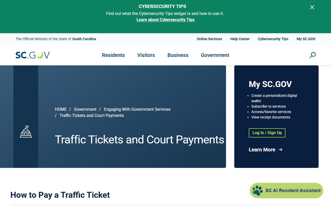 Union County traffic court records SC.gov payment guide